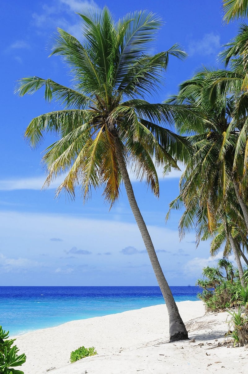 Beach Vacation